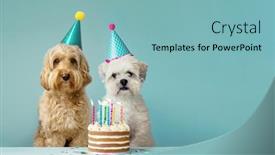  Presentation with cute birthday - Cool new theme with two-cute-dogs-with-party backdrop and a light blue colored foreground