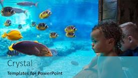  Presentation with fish aquarium - Theme with two-cute-kids-watching background and a cyan colored foreground