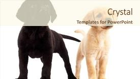  Presentation with two cute sisters playing - Colorful slides enhanced with two cute labrador puppies - both backdrop and a cream colored foreground