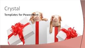  Presentation with pigs - Slide set consisting of two-cute-little-pigs-placed background and a white colored foreground
