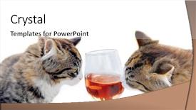  Presentation with sharing - Cool new presentation design with two cute young kittens sharing a glass of rose wine isolated on white background backdrop and a white colored foreground