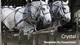  Presentation with horse - Presentation design consisting of pull a farmer's wagon background and a dark gray colored foreground