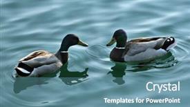  Presentation with canada ontario lake of two - Beautiful theme featuring february - 14th feb - two red backdrop and a sky blue colored foreground.