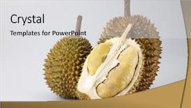  Presentation with durian - Colorful PPT theme enhanced with two durian and a half backdrop and a light gray colored foreground