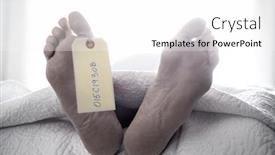  Presentation with white sheet - Colorful PPT theme enhanced with two-feet-of-a-dead backdrop and a white colored foreground