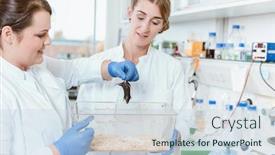  Presentation with lab rat - Presentation theme featuring two-female-researchers-holding background and a sky blue colored foreground