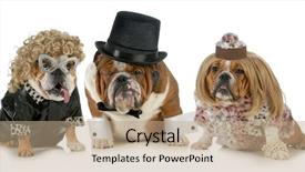  Presentation with females - Amazing presentation theme having two females all dressed backdrop and a coral colored foreground