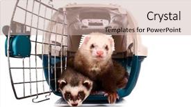  Presentation with cage - Colorful PPT theme enhanced with christmas holidays technology and people concept - smiling woman in santa helper hat with gift box and tablet pc computer over red lights background backdrop and a coral colored foreground