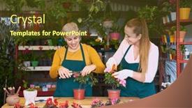  Presentation with caring - Presentation design enhanced with two-florists-in-the-flower background and a  colored foreground