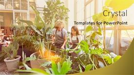  Presentation with inventory - Beautiful presentation featuring two-florists-take-inventory backdrop and a yellow colored foreground