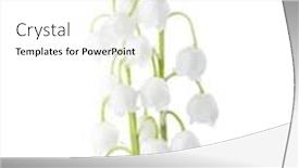  Presentation with lily of the valley close - Cool new PPT theme with two-flowers-of-lily backdrop and a white colored foreground