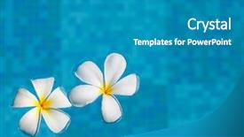  Presentation with frangipani flowers - Presentation theme with two frangipani flowers in blue water background and a teal colored foreground