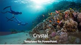 Presentation with marine life - Colorful theme enhanced with two free divers exploring coral backdrop and a tawny brown colored foreground
