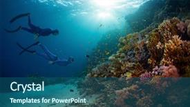  Presentation with marine life - Slides consisting of two free divers exploring coral background and a ocean colored foreground