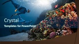  Presentation with sea coral - Audience pleasing slide deck consisting of two-freedivers-swim-over backdrop and a ocean colored foreground