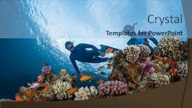  Presentation with swim - Slide deck featuring two-freedivers-swim-over background and a light blue colored foreground