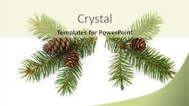  Presentation with fresh water splash green apple isolated white - Cool new slides with two-fresh-fir-branches backdrop and a blonde colored foreground