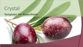  Presentation with olive - PPT theme consisting of two-fresh-olive-berries background and a mint green colored foreground