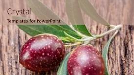  Presentation with olive - Presentation theme consisting of two-fresh-olives-on-olive background and a coral colored foreground