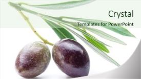  Presentation with leaves - Amazing slide deck having two-fresh-olives-with-leaves backdrop and a soft green colored foreground