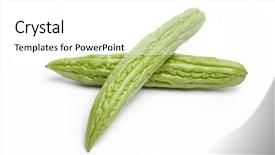  Presentation with bitter melon - Amazing PPT theme having two fresh sopropo bitter melon backdrop and a  colored foreground