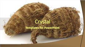  Presentation with colocasia - Presentation design featuring two fresh taro roots colocasia on a white background background and a tawny brown colored foreground