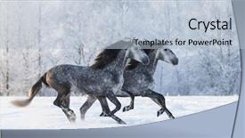  Presentation with spanish - Presentation theme consisting of two galloping dapple-grey purebred background and a light blue colored foreground