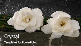  Presentation with bamboo flower - Slide deck enhanced with two gardenia flower with thin bamboo grove on wet background background and a tawny brown colored foreground