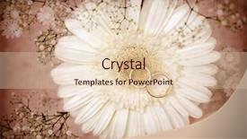  Presentation with white wedding - Theme having pink gold - grunge style image of white background and a lemonade colored foreground