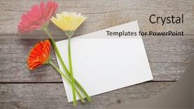  Presentation with birthday greetings - Amazing theme having birthday greetings - three colorful gerbera flowers backdrop and a mint green colored foreground