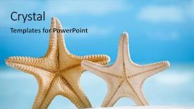  Presentation with sand ocean - Colorful theme enhanced with two giant starfish with white sand ocean beach and seascape shallow dof backdrop and a light blue colored foreground