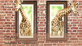  Presentation with brick wall - PPT theme enhanced with two-giraffes-in-wooden-frames background and a coral colored foreground