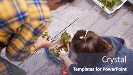  Presentation with weeds - Beautiful PPT theme featuring two-girls-on-outdoor-activity backdrop and a ocean colored foreground