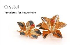  Presentation with gold silver - Amazing slides having two-gold-and-silver-coated backdrop and a white colored foreground