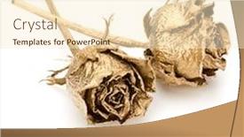  Presentation with romance - PPT theme enhanced with sweet memories - two gold roses isolated background and a cream colored foreground