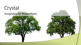  Presentation with oak tree - Cool new slide set with two green oak tree isolated backdrop and a white colored foreground