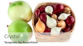  Presentation with yellow green - 