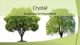  Presentation with green tree - Colorful presentation theme enhanced with two green tree on white backdrop and a yellow colored foreground