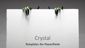  Presentation with zombie - Cool new slide set with two green zombie hands with long nails holds empty sheet of paper on gray background in studio backdrop and a light gray colored foreground