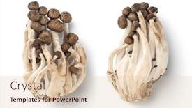  Presentation with groups - PPT theme enhanced with two-groups-of-small-edible background and a lemonade colored foreground