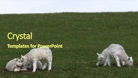  Presentation with groups - Audience pleasing presentation theme consisting of  backdrop and a  colored foreground