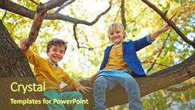  Presentation with happy birthday for adult boys - Slide set with tree branch and looking background and a tawny brown colored foreground