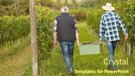  Presentation with harvest - Colorful PPT theme enhanced with two-harvest-workers-carry-crate backdrop and a tawny brown colored foreground