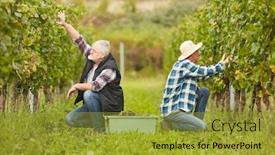  Presentation with harvest - PPT theme having two-harvest-workers-or-seasonal background and a gold colored foreground