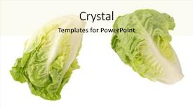  Presentation with heads - Presentation design featuring two heads of little gem background and a blonde colored foreground