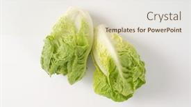  Presentation with heads - Beautiful slide set featuring two heads of little gem lettuce on white background backdrop and a lemonade colored foreground