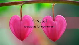  Presentation with shape heart - Beautiful PPT layouts featuring two heart flower conceptual design backdrop and a coral colored foreground