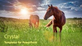  Presentation with horses - Presentation featuring two-horses-grazing background and a tawny brown colored foreground