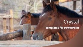  Presentation with horses - Presentation design enhanced with two-horses-in-the-shed background and a tawny brown colored foreground