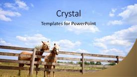  Presentation with next - Beautiful slide set featuring two horses next fence backdrop and a light blue colored foreground